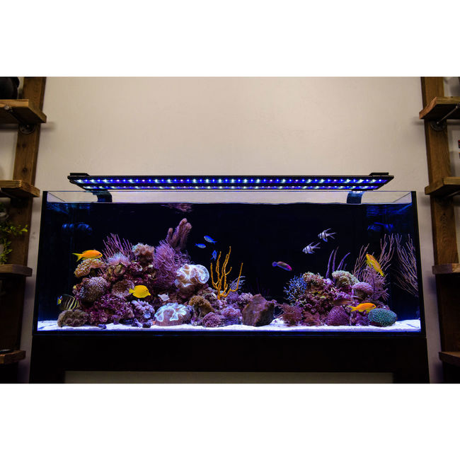 orbit marine 36 48